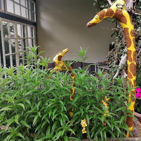 Ferienwohnung Brandmaier ウンケン エクステリア 写真