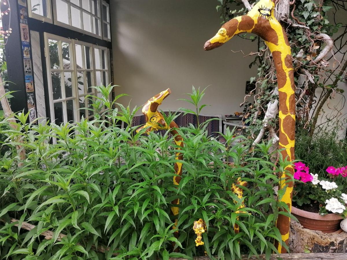 Ferienwohnung Brandmaier ウンケン エクステリア 写真